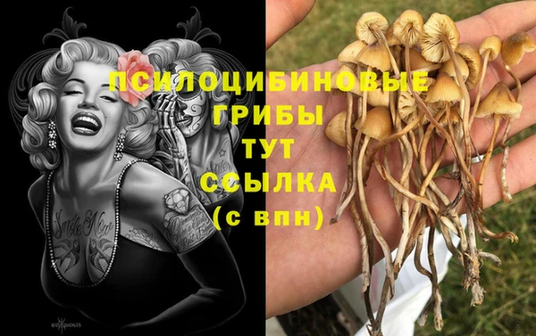 ГАЛЛЮЦИНОГЕННЫЕ ГРИБЫ Богданович